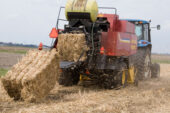 Among the many variables the new computer model takes into account, harvest timing and technology is key. Here a traditional baler is used to harvest Miscanthus x giganteus, a tall perennial grass that can be harvested in late fall or winter.