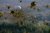 In the movie "Swarmed," genetically altered yellowjackets bring mayhem to a small Kansas town.