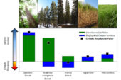 Tropical rainforests have an even greater climate cooling impact when biophysical attributes, such as evapotranspiration, are included in calculations. Other ecoregions, such as boreal forests, have less climate cooling potential when biophysical attributes are also considered.