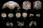 The researchers found skull fragments that date to 63,000 years ago.