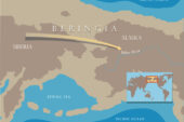 Genetic evidence in the new study supports the hypothesis that the first people in the Americas all came from northeast Asia by crossing a land bridge known as Beringia. When sea levels rose after the last ice age the land bridge disappeared.