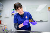 Portrait of the researcher examining a turtle.
