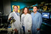 Researchers in the lab.