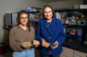 Graduate student Andrea Jimena Valdés-Alvarado, left, and food science professor Elvira Gonzalez de Mejia standing in the Edward R. Madigan Laboratory holding samples of the legume pulses they used in the study.