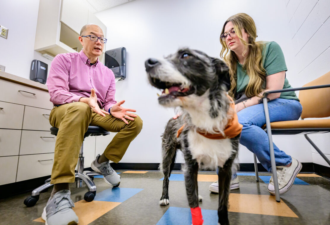 Dr. Timothy Fan, left, sits in a consulting room with the pet owner. Between them stands the dog, who is looking off toward Fan.