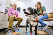 Dr. Timothy Fan, left, sits in a consulting room with the pet owner. Between them stands the dog, who is looking off toward Fan.