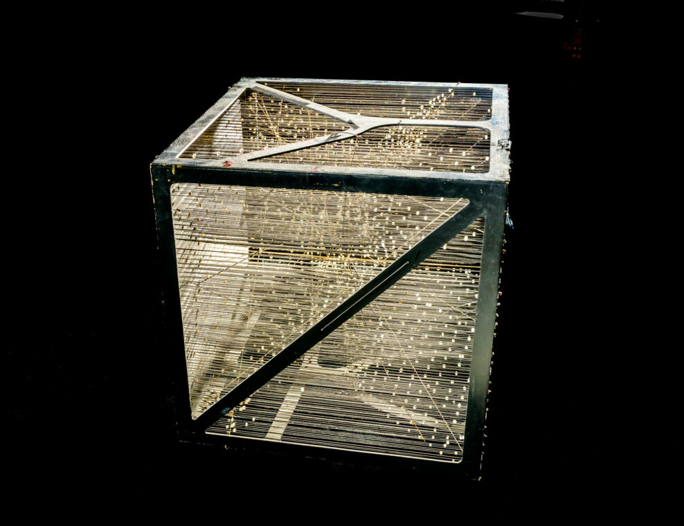 Photo of a box frame with an elaborate set of strings and beads on the interior of the frame.