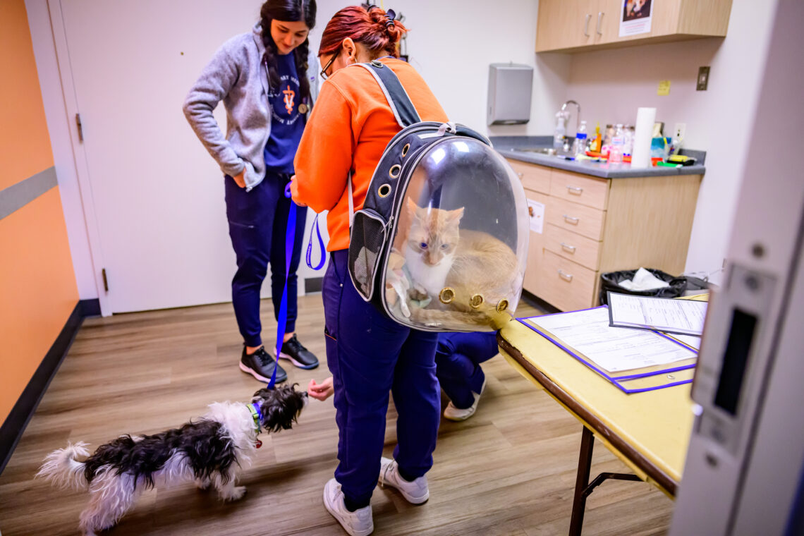 Photo of staff members with a dog on the floor and a cat in a see-through backpack carrier. 