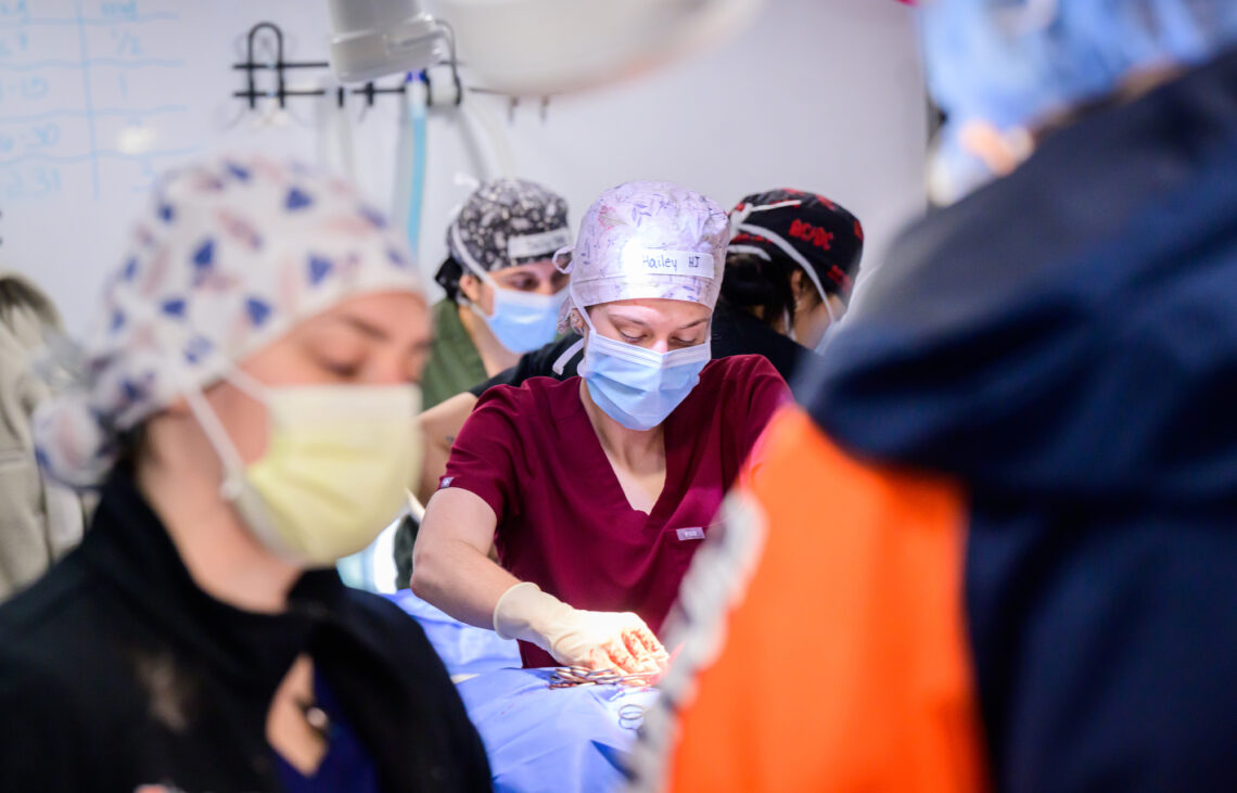 Photo of surgical suite, which is full of masked and gloved veterinarians performing surgery on various animals (surgery not visible). 