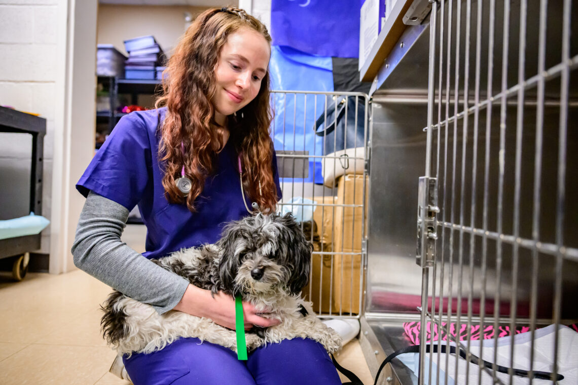 Photo of student seated on the floor outside a cage with the door open and a groggy dog on her lap. 