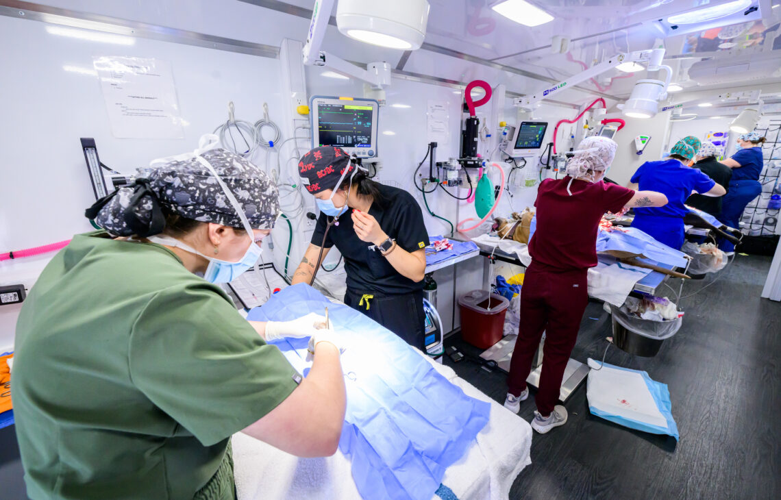 Photo of three teams inside the mobile veterinary unit, each with an operating table in front of them. 