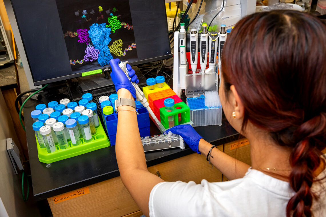 A student, facing away from the camera, pipettes a sample into a test tube.