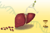 Artist's rendering of a coctail being poured over a liver made of lego-like blocks, making the blocks fall apart.