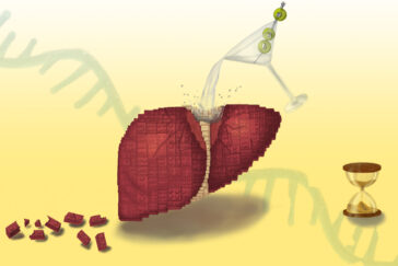 Artist's rendering of a coctail being poured over a liver made of lego-like blocks, making the blocks fall apart.