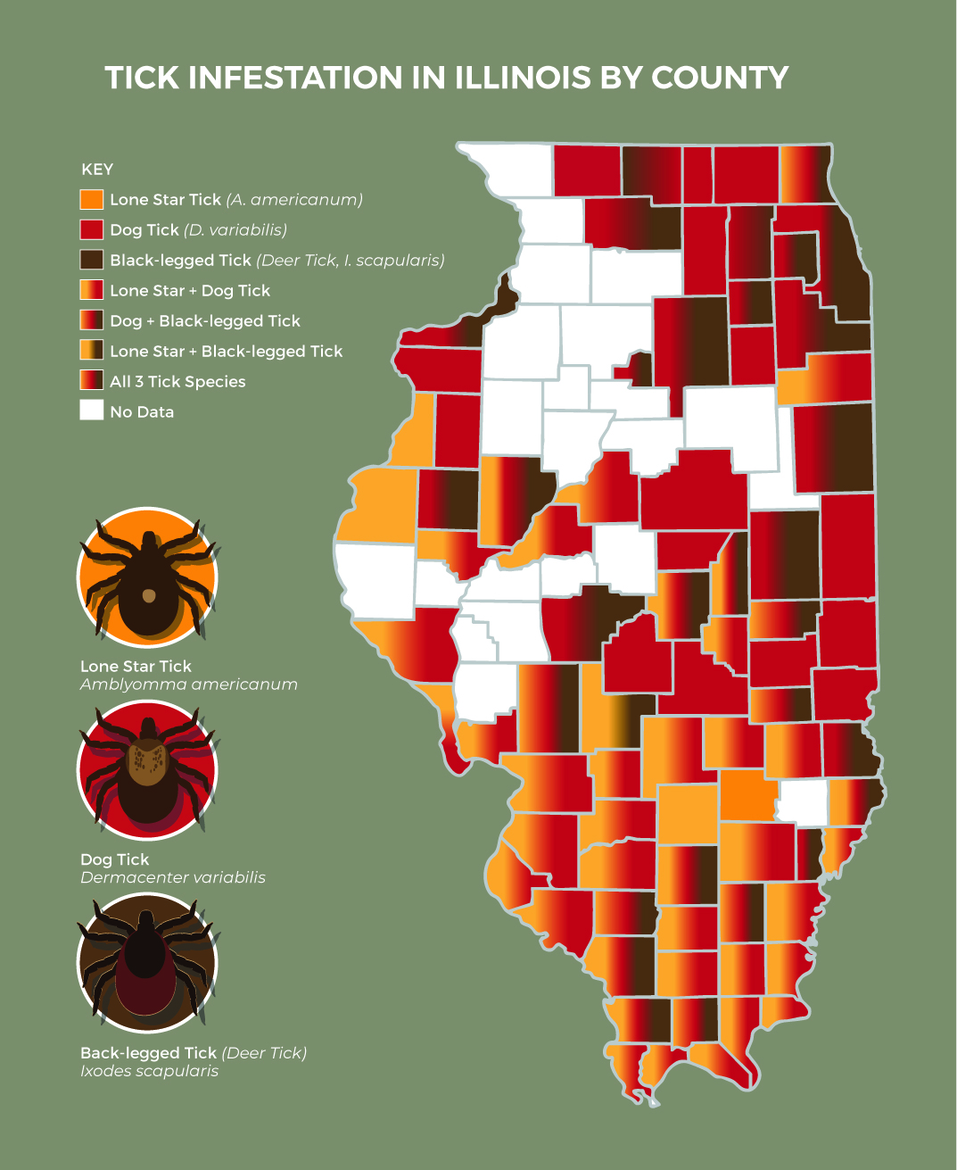 Map of Illinois counties, which are colored in according to the ticks found there: red for the American dog tick, yellow for the lone star tick, and brown for the deer tick.
