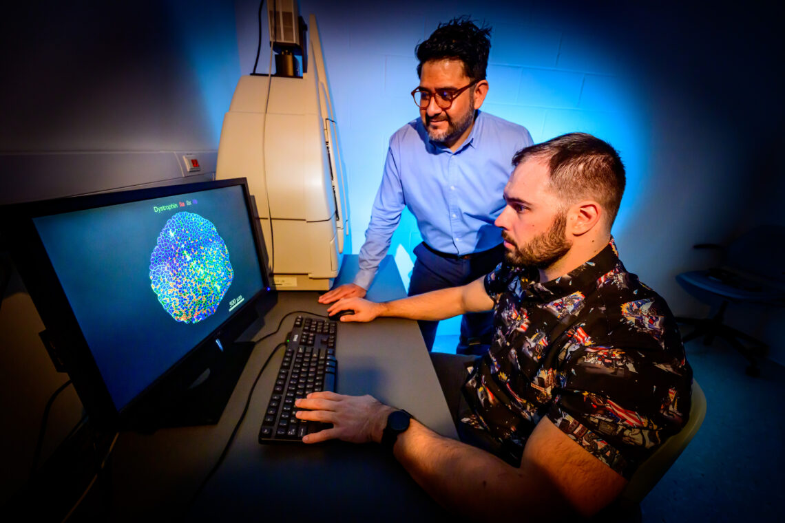 Photo of the two researchers looking at a computer monitor displaying a cross-section of muscle fibers, with different colors representing different muscle fiber types.