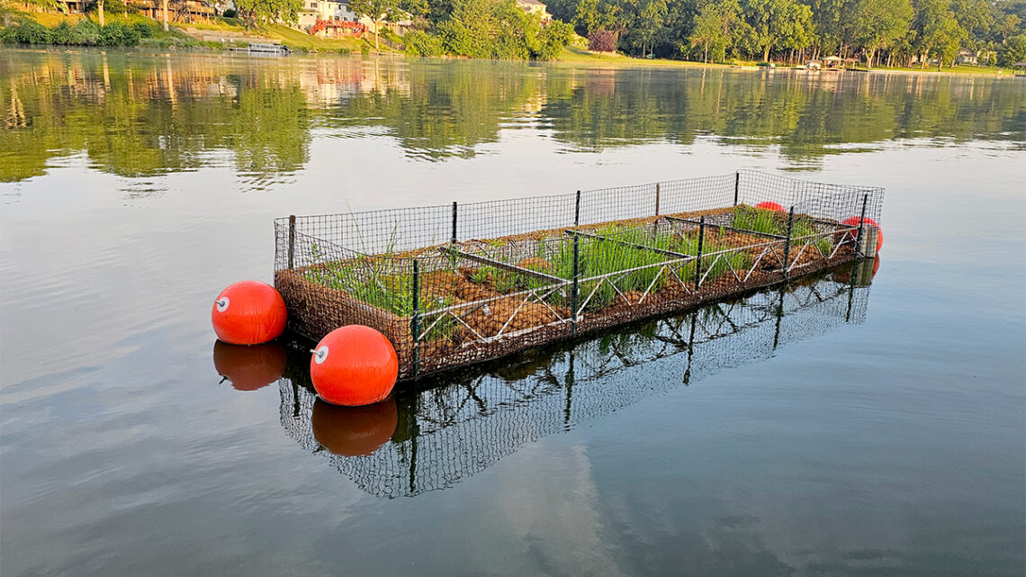 Photo of one of two floating wetlands in the center of Lake Decatur.