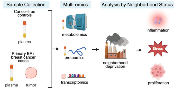 A graphic describes the research process, which involved multiomic analyses of plasma and tumor samples.