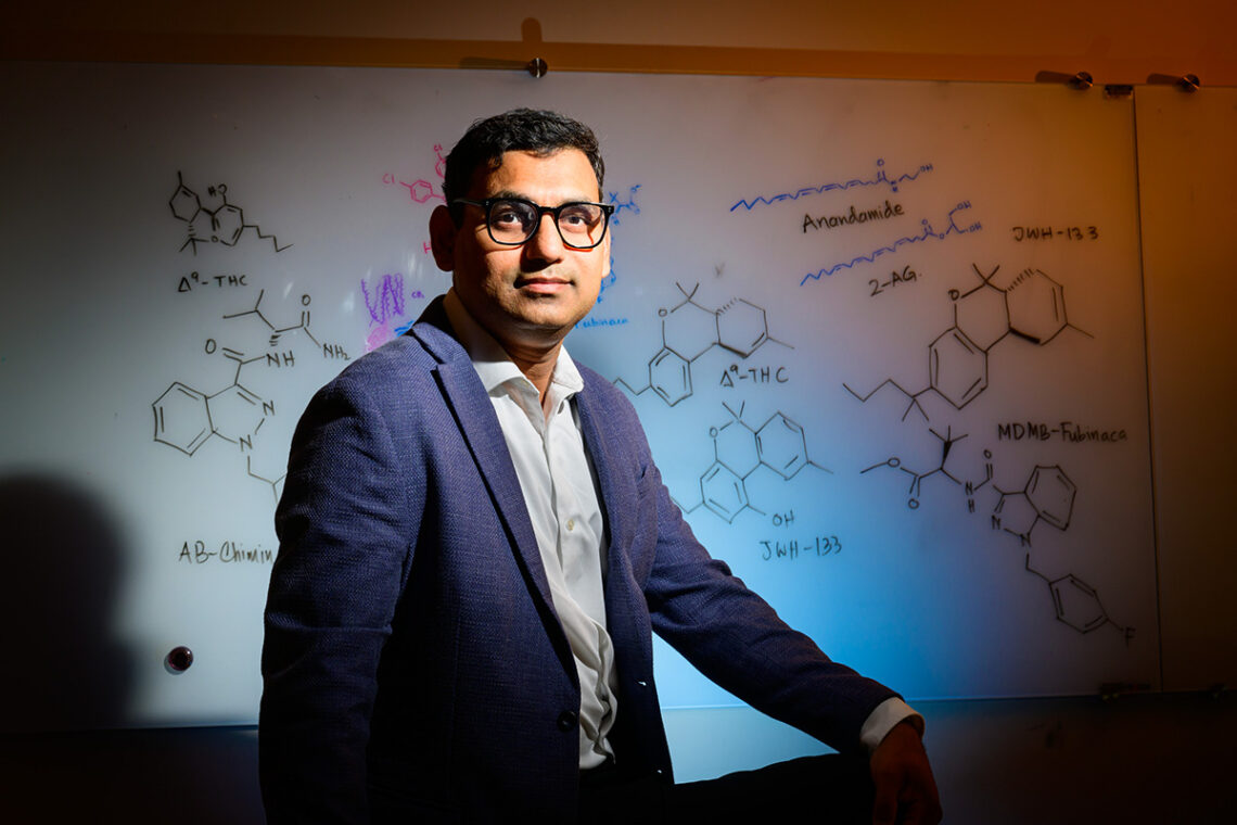 Diwakar Shukla standing in front of a white board showing hand-written THC molecule diagrams.