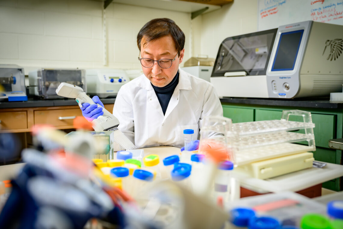 Photo of the lab manager loading pipettes with solution at a laboratory desk.