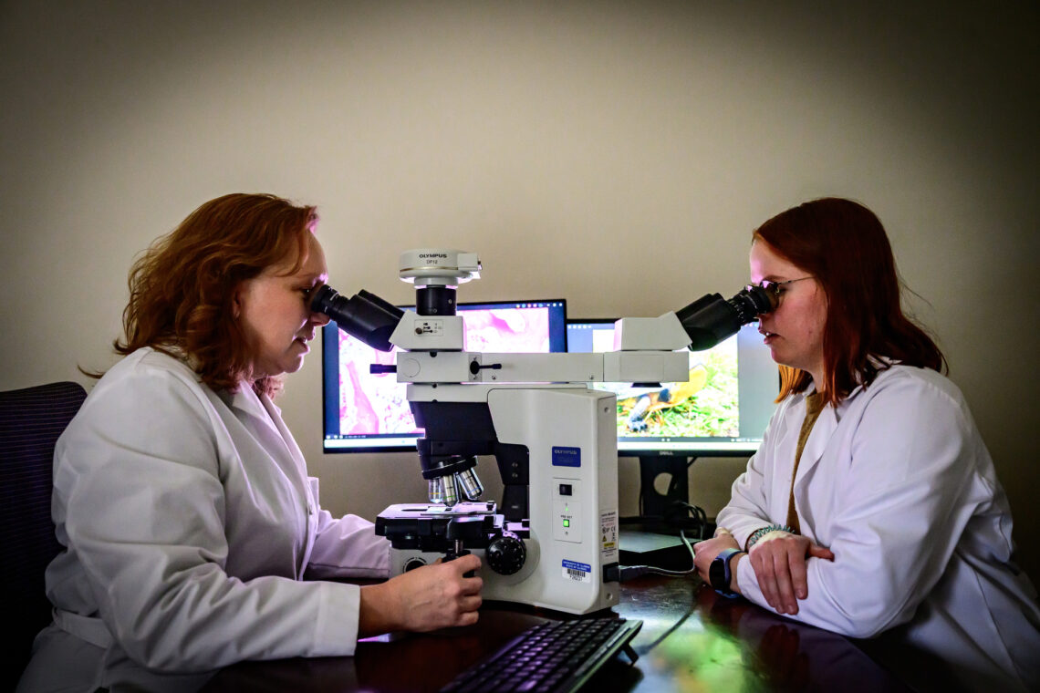 Photo of researchers in lab coats looking through a shared microscope with viewers on each side of a desk. 