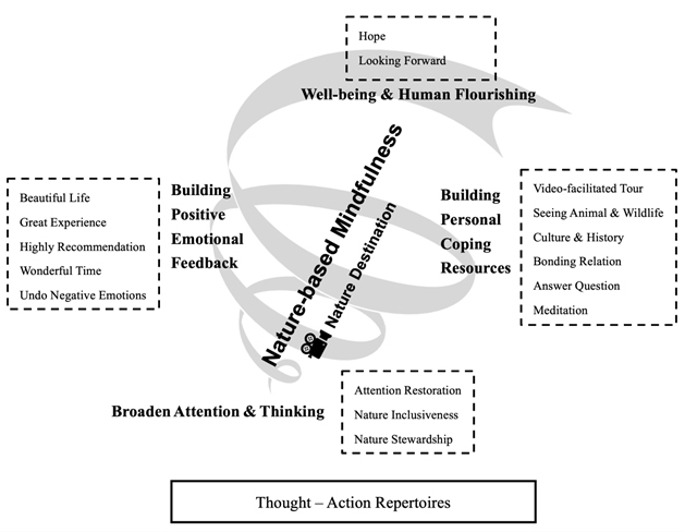 A graphic depicts how nature videography and mindfulness benefit well-being.