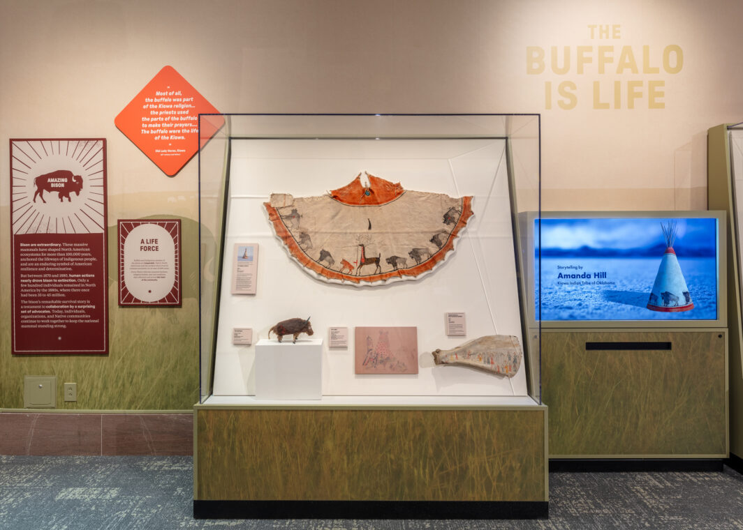 Photo of artifacts relating to bison and to their relationship with Indigenous peoples at the National Museum of Natural History.