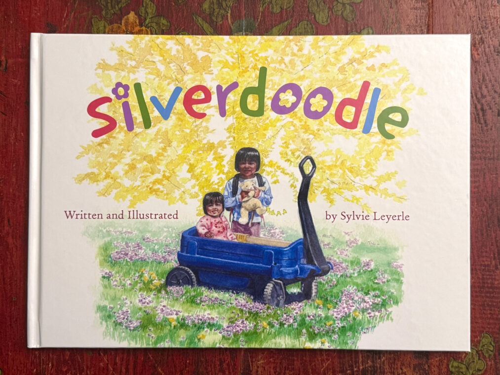 Cover of a children's book about adoption, with an image of two young girls, one in a wagon and one holding a teddy bear.