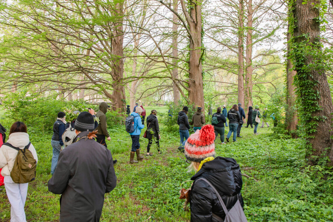 Photo of a group of people walking single file through the woods.