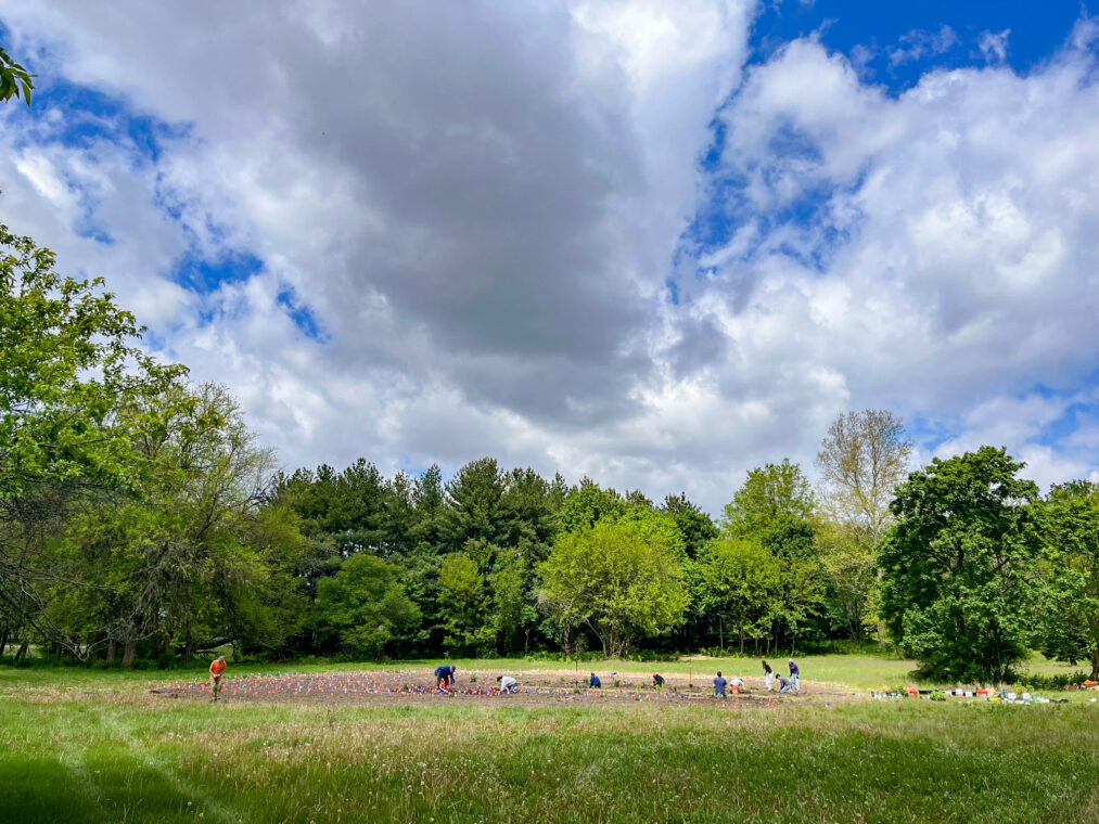 Photo of a wide view of an area of dirt being planted, with woods in the background.