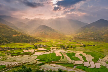 A wide angle photo of rice paddies in Vietnam in the foreground and tall mountains in the background