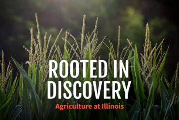 A new Big Ten Network documentary, “Rooted in Discovery: Agriculture at Illinois,” highlights three distinct stories about the U. of I’s rich history of agricultural innovation and discovery, from its early beginnings to ongoing efforts to help feed a growing global population, to ways the university is nourishing its own campus community.