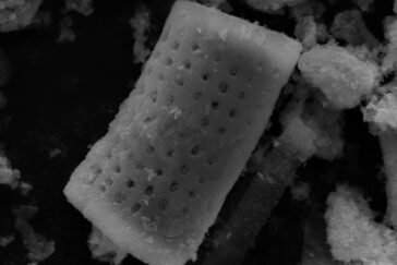 Cylindrical microparticles with a catalytic coating release tiny oxygen bubbles that coalesce and burst to disrupt stubborn biofilms on contaminated surgical instruments and infected wounds. Image by Yujin Ahn.