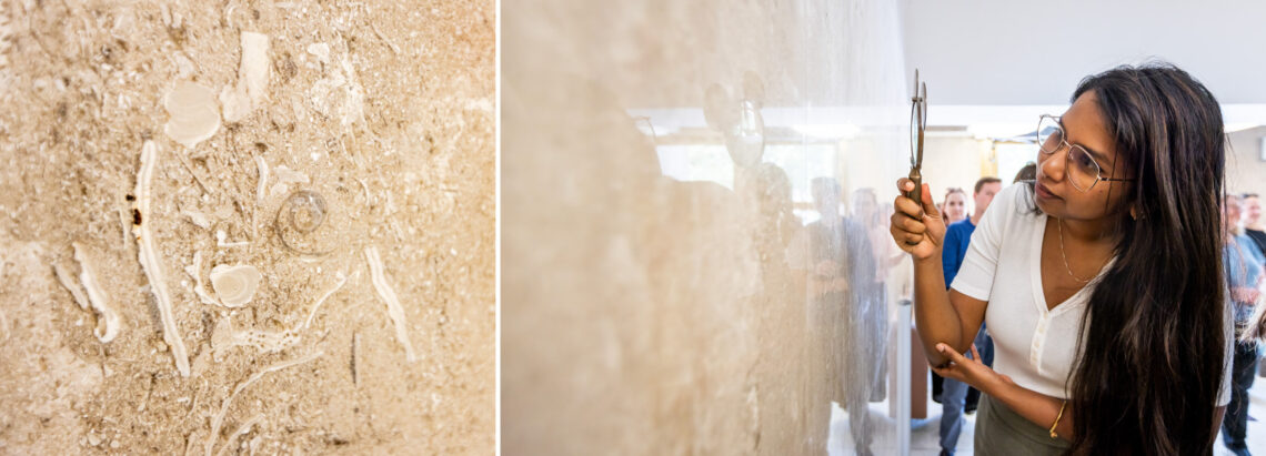 Two photos: On the left, a closeup of fossils embedded in the walls of the Henry Administration lobby; on the right, a woman inspects the wall with a hand lens.