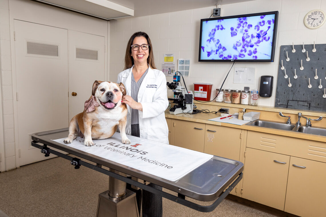 Photo of the researcher in an exam room with a happy-looking bulldog.