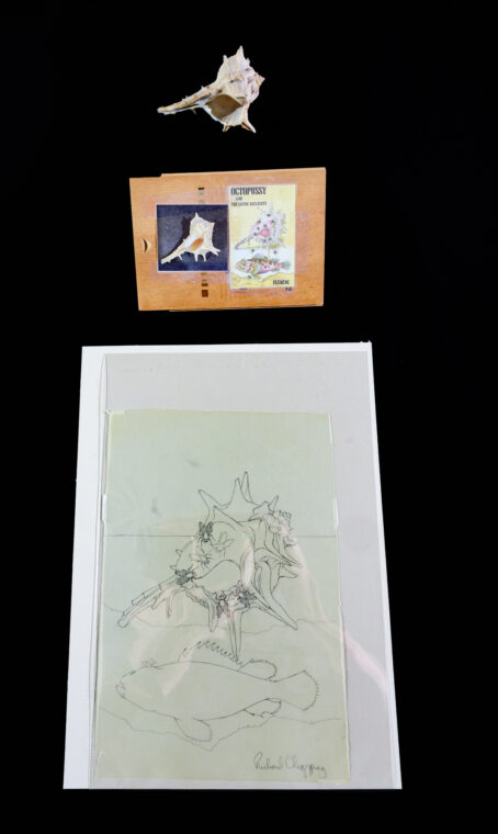 Photo of a shell, dust jacket cover for "Octopussy" with an image of the shell and a sketch of the cover.