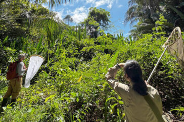 Two students with butterfly nets peer into the rainforest.