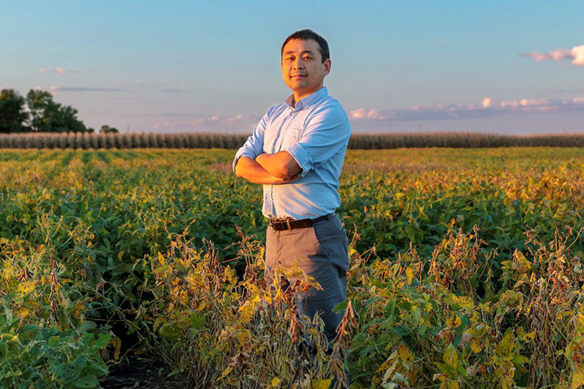 A researcher standing in an agricultural field