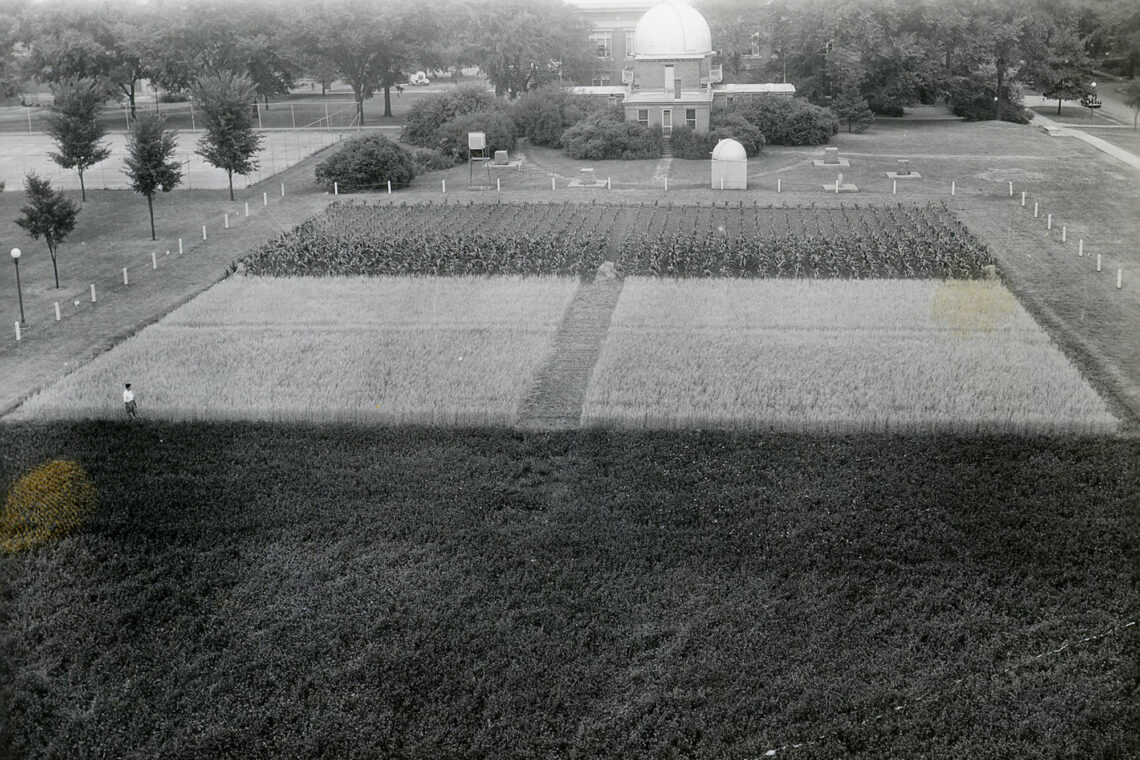 Photo of the Morrow Plots in 1940 with the Observatory in the background.