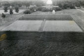 Photo of the Morrow Plots in 1940 with the Observatory in the background.