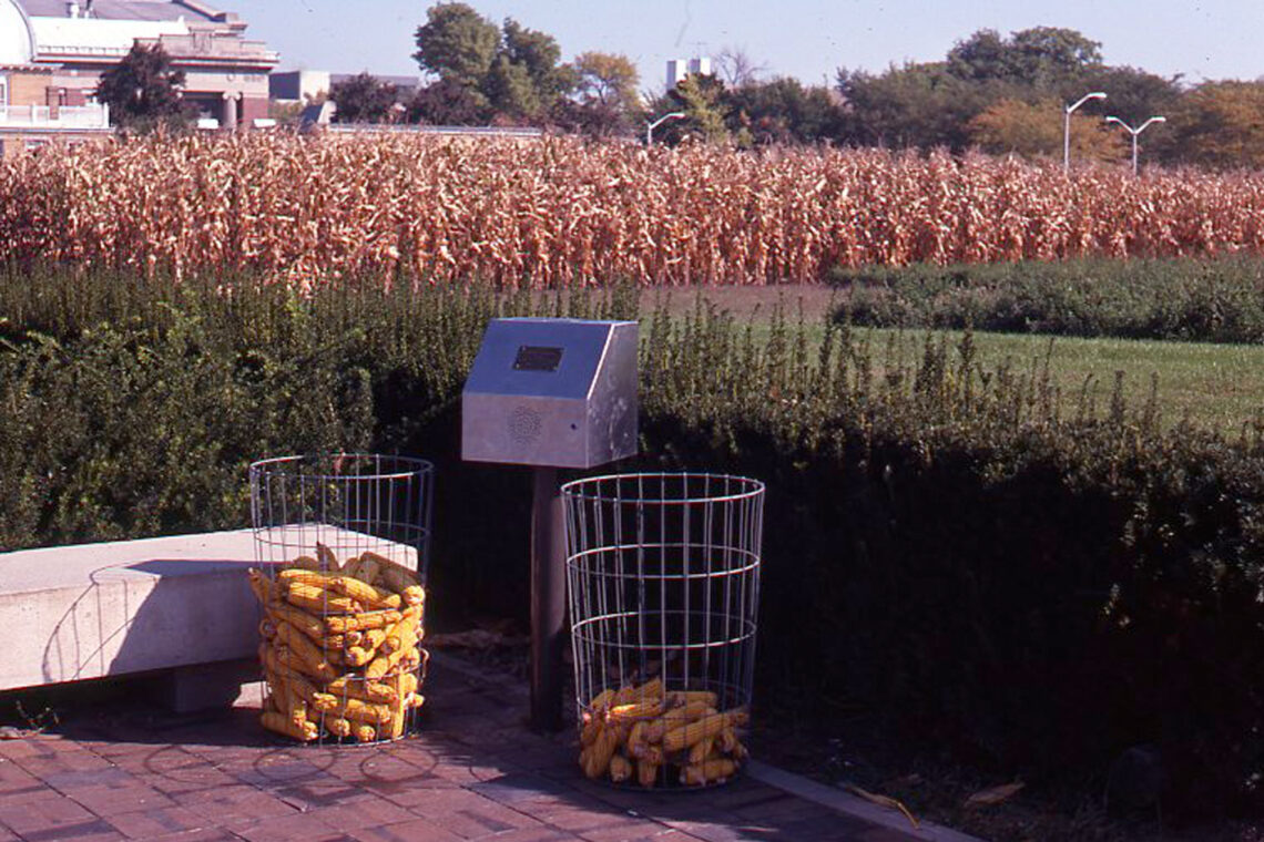 Photo of an audio box and two wire containers with ears of corn next to the Morrow Plots.