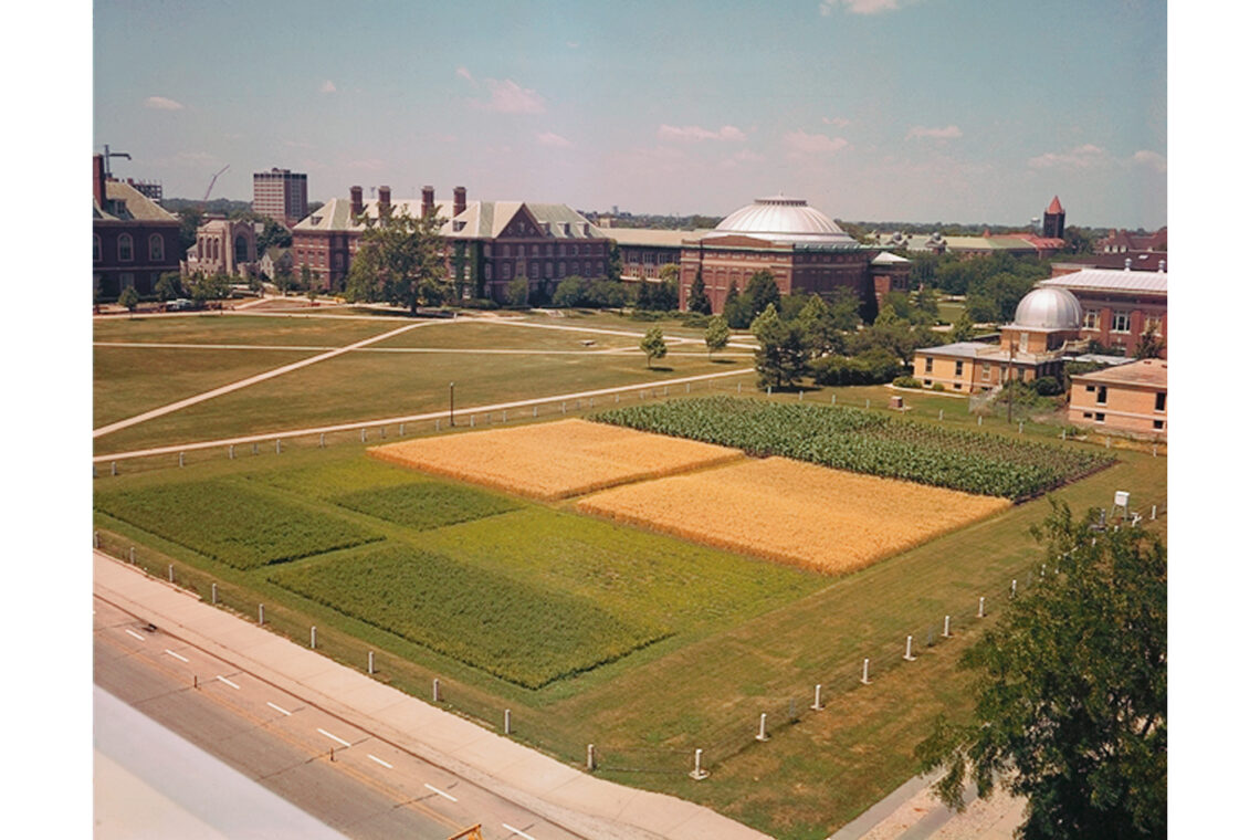 Overhead photo of the Morrow Plots in 1965.