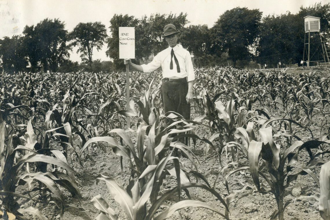 Black-and-white photo of a man standing in corn and holding a sign indicating where it is planted within the Morrow Plots.